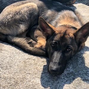 Meet your Posher, Katherine